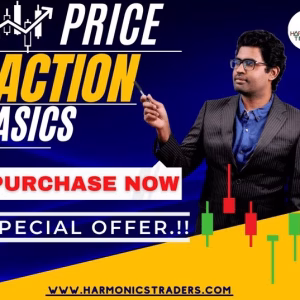 Harmonic Trader Price Action Basic Course