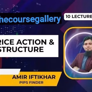 Amir Iftikhar Price Action and Advance Structure (Pips Finder) Complete Course