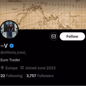 Vittorio Rossi Mentorship