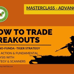 Learn2Invest Breakout Momentum - Tiger Strategy