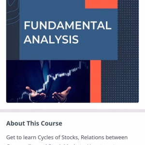 Wealth Saga WSG Pro - Investor Fundamental analysis Course