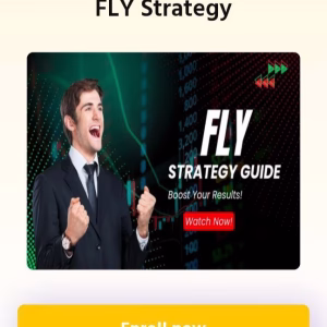 Trademix Fly Strategy 2025